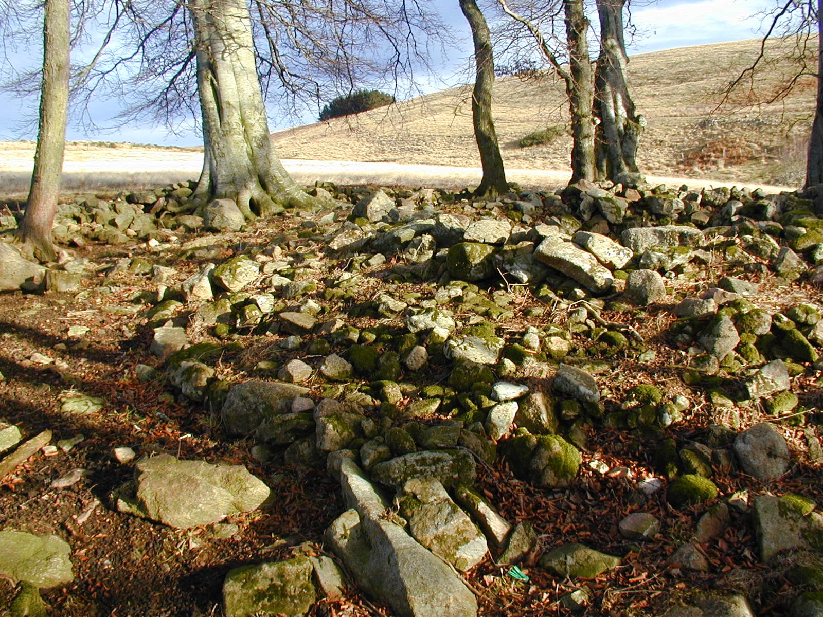 Macbeths Burial Place