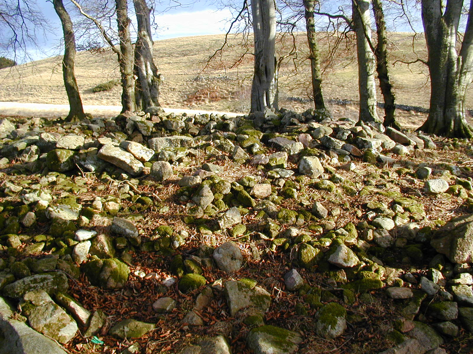 Macbeths Burial Place